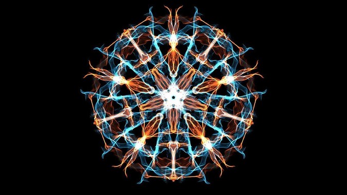 一个人想养一个不怎么需要打理的小宠物，有什么推荐的？